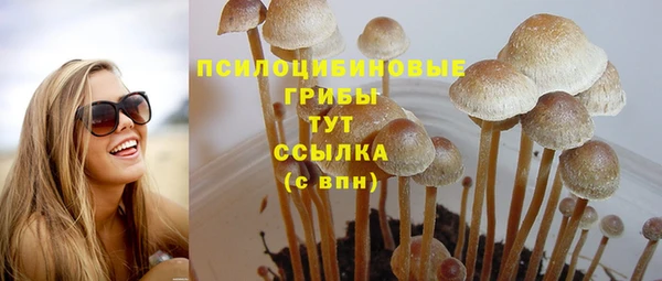 MESCALINE Вязьма